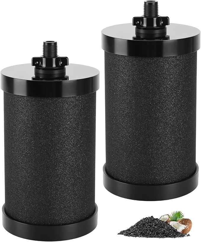 KEEPOW 2387 Pro Water Filter Replacement Compatible with Alexapure Water Filtration System, Reduces Chlorine, Black, 2 Pack