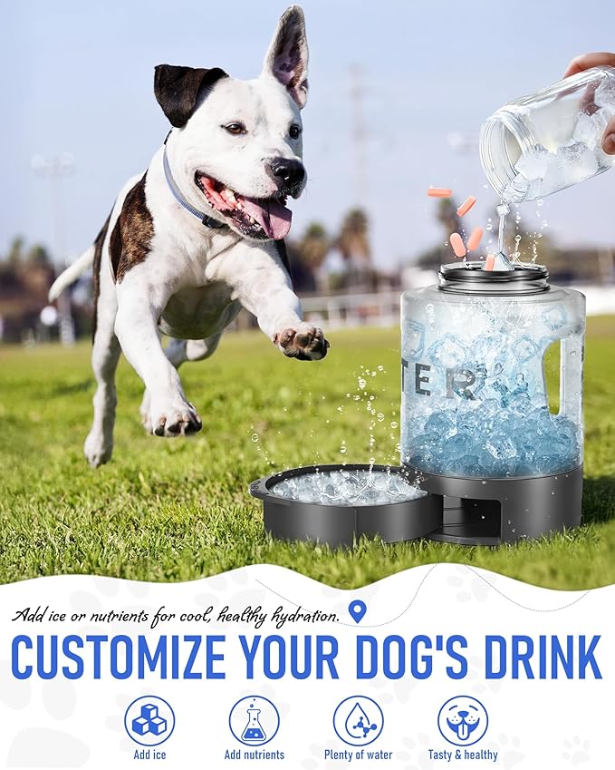 Dog Water Bottle Travel Bowl, 77oz Large Portable Dog Water Bowl Dispenser, Leakproof Pet Drinking Bottle Dispenser for Hiking Camping Walking Travelling Beach Car Trips, BPA Free, Black - AquaVibe