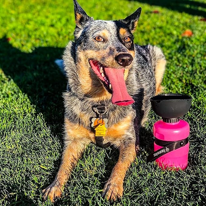Lesotc Dog Water Bottle, Portable Pet Dispenser with Water Bowl, Leak Proof Pet Travel Squeeze Bottle, Puppy Essentials Dog Stuff Accessories for Outdoor Walking, Hiking, Camping - AquaVibe