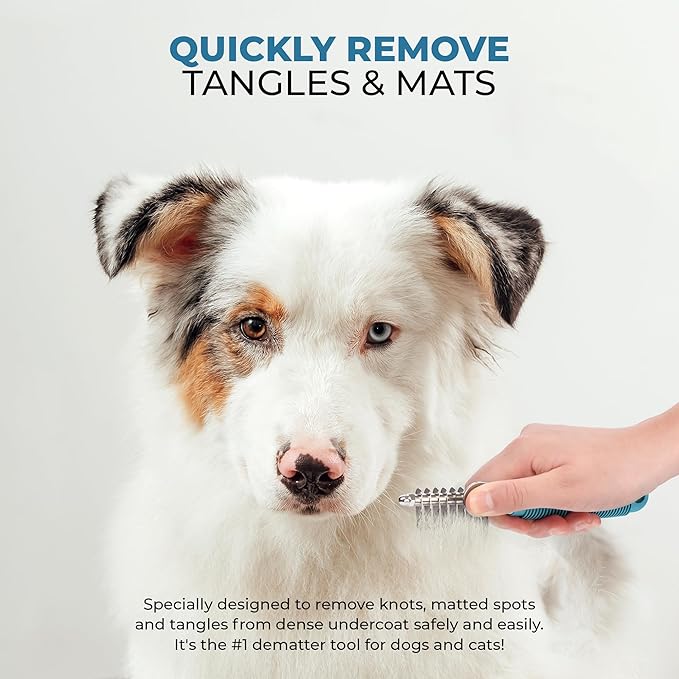 Poodle Dematting Fur Rake Comb Brush for Dogs and Cats - Long 2.5" Steel Safety Blades Metal Comb for Detangling Matted or Knotted Undercoat Hair - AquaVibe