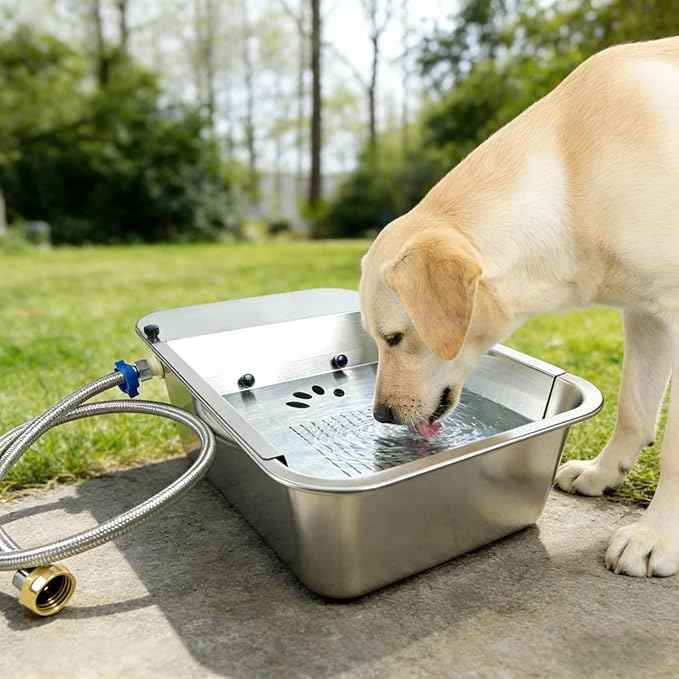 3 Gallon Automatic Water Dispenser for Dogs Stainless Steel Outdoor Drinking Bowl Self-Filling Water Bowl for Large Dogs – Slow-Drink,Splash-Proof Design,Suitable for Cats,Dog(11L-A)