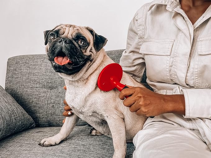 Tuff Pupper Round Bristle Soft Brush for Dogs and Cats | Gentle Grooming for Short or Long Hair | Soft Pin Tool for Sensitive Skin | Detangle & Remove Loose Fur | For Dematting & Detangling Undercoat - AquaVibe