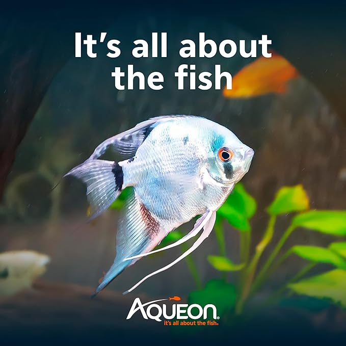 Aqueon Aquarium Fish Tank EcoRenew Filter Cartridge, Extra Small 3 Pack - AquaVibe