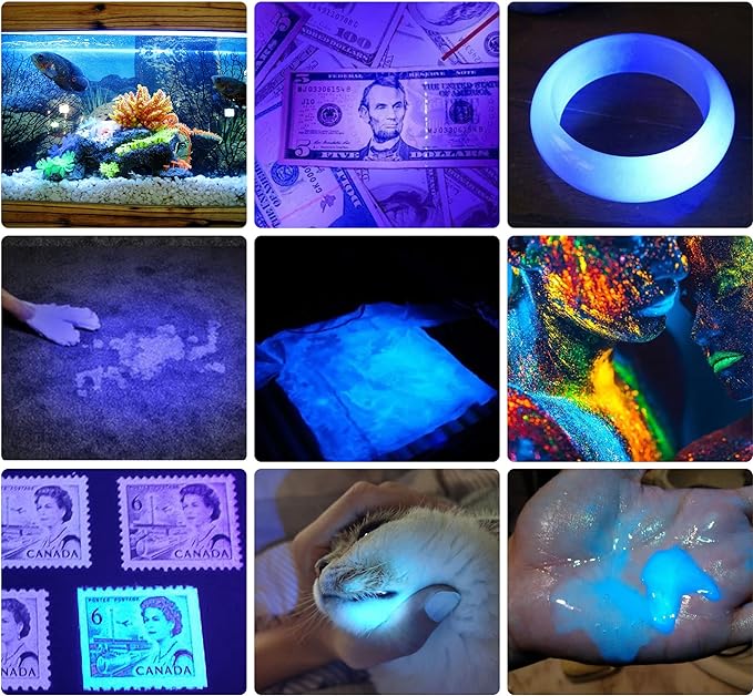 DARKBEAM UV 365nm Flashlight USB Rechargeable Ultraviolet Light led Blacklight Wood's lamp Portable Mini Detector for Dog/Cat Urine Pet Stains, Anti-counterfeiting Identification, Resin Curing