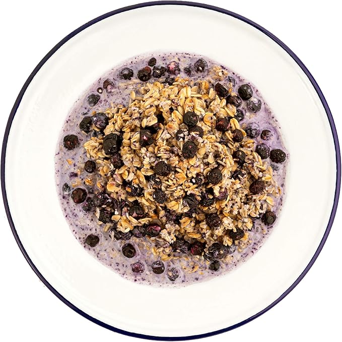 Potable Aqua Water Purification Tablets Two 50ct Bottles and Mountain House Granola with Milk & Blueberries Freeze Dried Backpacking Food 2 Servings