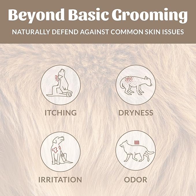 SKOUT'S HONOR Probiotic Pet Deodorizer Spray- Hydrating Daily-Use with Avocado Oil & Omega-3s, Microbiome Friendly Certiified, Paraben & Sulfate-Free, 97% Natural, 8oz, Dog of The Woods, 2-Pack - AquaVibe