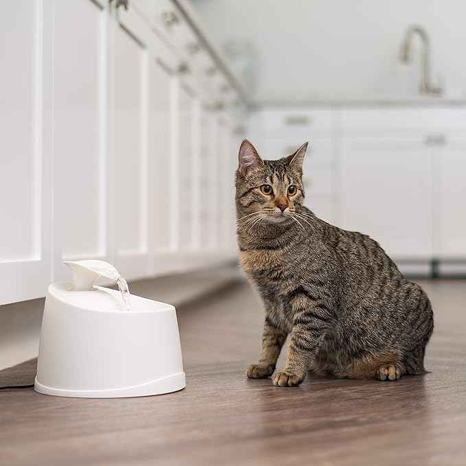 IRIS USA Cat Water Fountain, 44oz / 1.3L, Kitty Spout, Dog Fountain Water Bowl, Silent and Replaceable Charcoal Filter, White