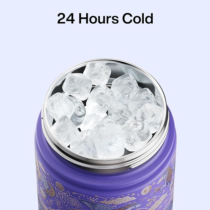ENCOOL Insulated Water Bottle with Straw Stainless Steel Water Bottle, Leak-Proof, BPA-Free, Double Wall Vacuum Keeps Cold for 24 Hours for Sports, Travel, School (26 oz, Stellar Steed)