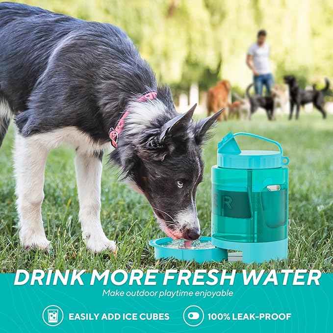 77oz Portable Dog Water Bottle, Large Travel Water Bowls for Dogs Camping Essentials Hiking Park Traveling Beach Walk Accessories, Dog Water Bowl Dispenser with Pull-Out Drinking Bowl, BPA Free