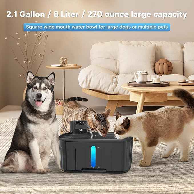 Dog Water Fountain Wireless,2.1GAL/8L Large Dog Water Fountain Battery Operated, Dog Fountain Water Bowl with Sensor,Wireless Smart Pump,Timer,BPA-Free,Ideal for Large Dogs,Multi-Pet Home