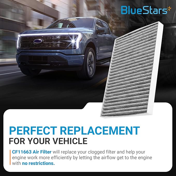 BlueStars CF11663 Premium Activated Cabin Carbon Air Filter - Fits Buick Enclave 08-17, Chevy Traverse 09-17, GMC Acadia 07-16, Saturn Outlook 07-10 - Replaces ACF011 XC26205C 20958479-2 PACKS