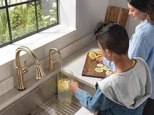 Delta Faucet Clarifi Under Sink Reverse Osmosis Water Filter System with Gold Traditional Beverage Dispenser Faucet