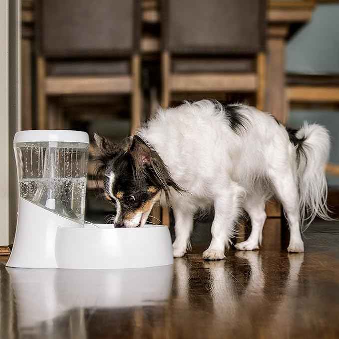 Petmate Fresh Flow Rain Battery Fountain for Cats and Dogs, 75 oz