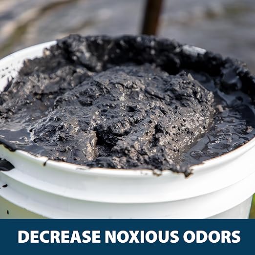 Airmax MuckAway Natural Beneficial Bacteria for Outdoor Ponds & Lakes, Muck, Sludge & Noxious Odor Solution, Easy to use Enzyme Tablets, Cleaner Beach & Shoreline, Fish, Pet & Wildlife Safe, 8 Scoops