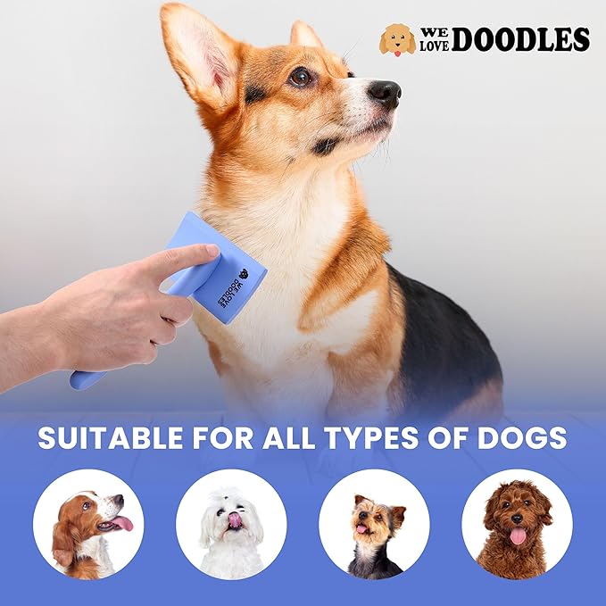 Slicker Brush for Dogs, Dog Grooming Supplies - Best Doodle & Poodle Brush for Long Haired Dogs - Goldendoodle Long Pin Detangler For Dematting (Medium Curved) - AquaVibe