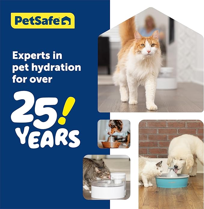 PetSafe Outlast Cat Fountain - Encourages Healthy Hydration - Pump-Free Design with HydroSpin Technology - Automatic Pet Water Bowl - Dishwasher-Safe - Long-Lasting - 60 oz