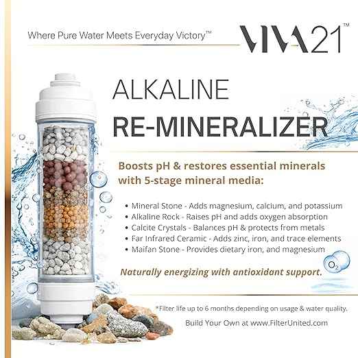 Reverse Osmosis System (6-Stage Alkaline)