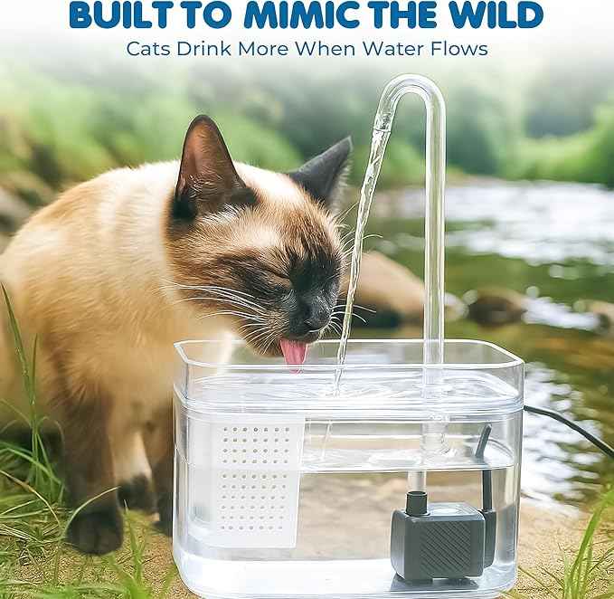 SunGrow Cat Water Fountain, Automatic Flowing Hydration Station with Filter & Silent USB Pump, Easy-to-Use Transparent Feeder Bowl for Indoor Felines, Ferrets, and Other Small Animals,6" x 5" x 5"