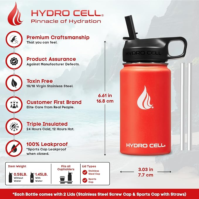 HYDRO CELL Stainless Steel Insulated Water Bottle with Straw - For Cold & Hot Drinks - Metal Vacuum Flask with Screw Cap and Modern Leakproof Sport Thermos for Adults (Mandarin 14oz)