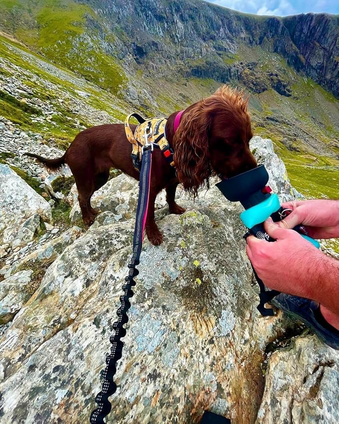 Lesotc Dog Water Bottle, Portable Water Dispenser with Bowl, Leak Proof Pet Travel Squeeze Bottle, Puppy Essentials Dog Stuff Accessories for Outdoor Walking, Hiking, Camping - AquaVibe