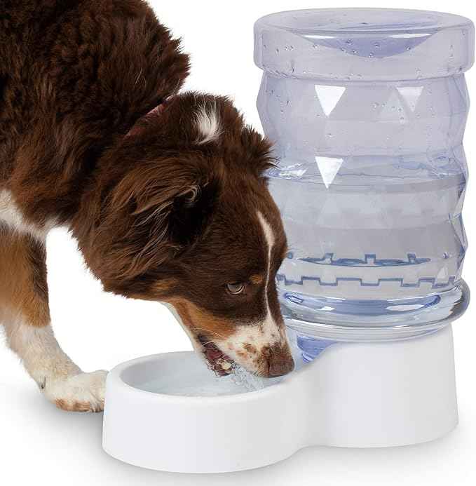 PetFusion H2O Gravity Pet Water Dispenser. Durable 2.5 Gallon Waterer Feeder. Automatic Station for Cats & Small, Medium, Large Dogs, Transparent