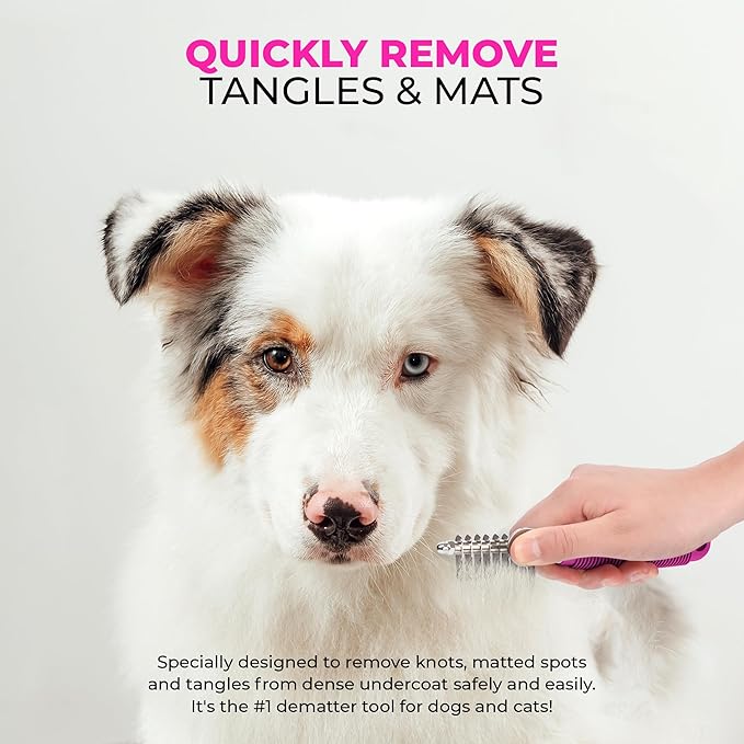 Poodle Dematting Fur Rake Comb Brush for Dogs and Cats - Long 2.5" Steel Safety Blades Metal Comb for Detangling Matted or Knotted Undercoat Hair - AquaVibe