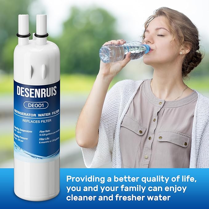W10295370A Filter Replacement Compatible with EDR1RXD1, Filter 1, P8RFWB2L, W10295370, W10291030, WRL767SIAM, WRS322FDAB, Reduces 99% of Chlorine, Free-Lead, Pack of 2, By DESENRUIS