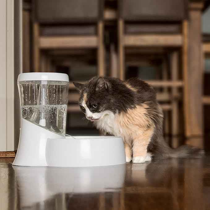 Petmate Fresh Flow Rain Battery Fountain for Cats and Dogs, 75 oz