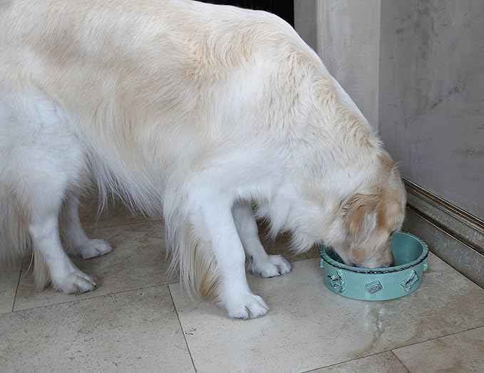 Carmel Ceramica Pdla3001 Aqua/Green Dog Food/Water Bowl, Large