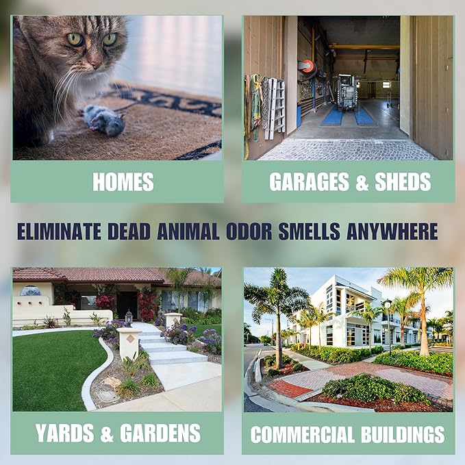 SMELLEZE Dead Animal Odor Eliminator for Strong Odor Removal - Eliminate Dead Rodent & Wildlife Smell - Safe Indoor & Outdoor Use, Natural Odor Remover, Fresh & Effective - 1 Pouch