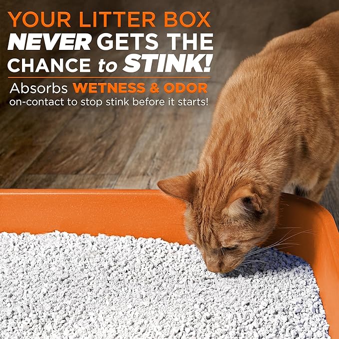 POOPH® LITTERIZER® – 16oz Bottle – Absorbs 46x Weight in Wetness & Odor – Keeps Litter Dry, Reduces Mess, Reduce Litter Costs AND Get a STINK-FREELitter Box – WITHOUT Fragrances or Harsh Chemicals - AquaVibe
