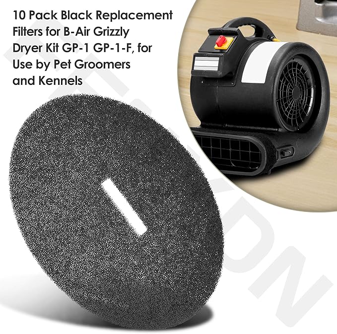 10-Pack Replacement Filters Compatible with B-Air Pet Dryer Airmovers GP-1, GP-1-F Grizzly, for Use by Pet Groomers and Kennels - AquaVibe