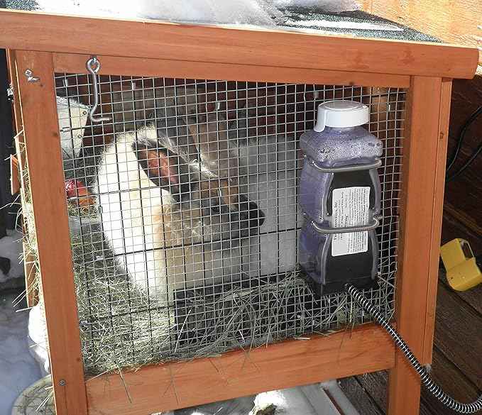 Farm Innovators Model HRB-20 Heated Water Bottle for Rabbits, 32-Ounce, 20-Watt, 4.2 x 4.2 x 11.5 inches, 1 Pound