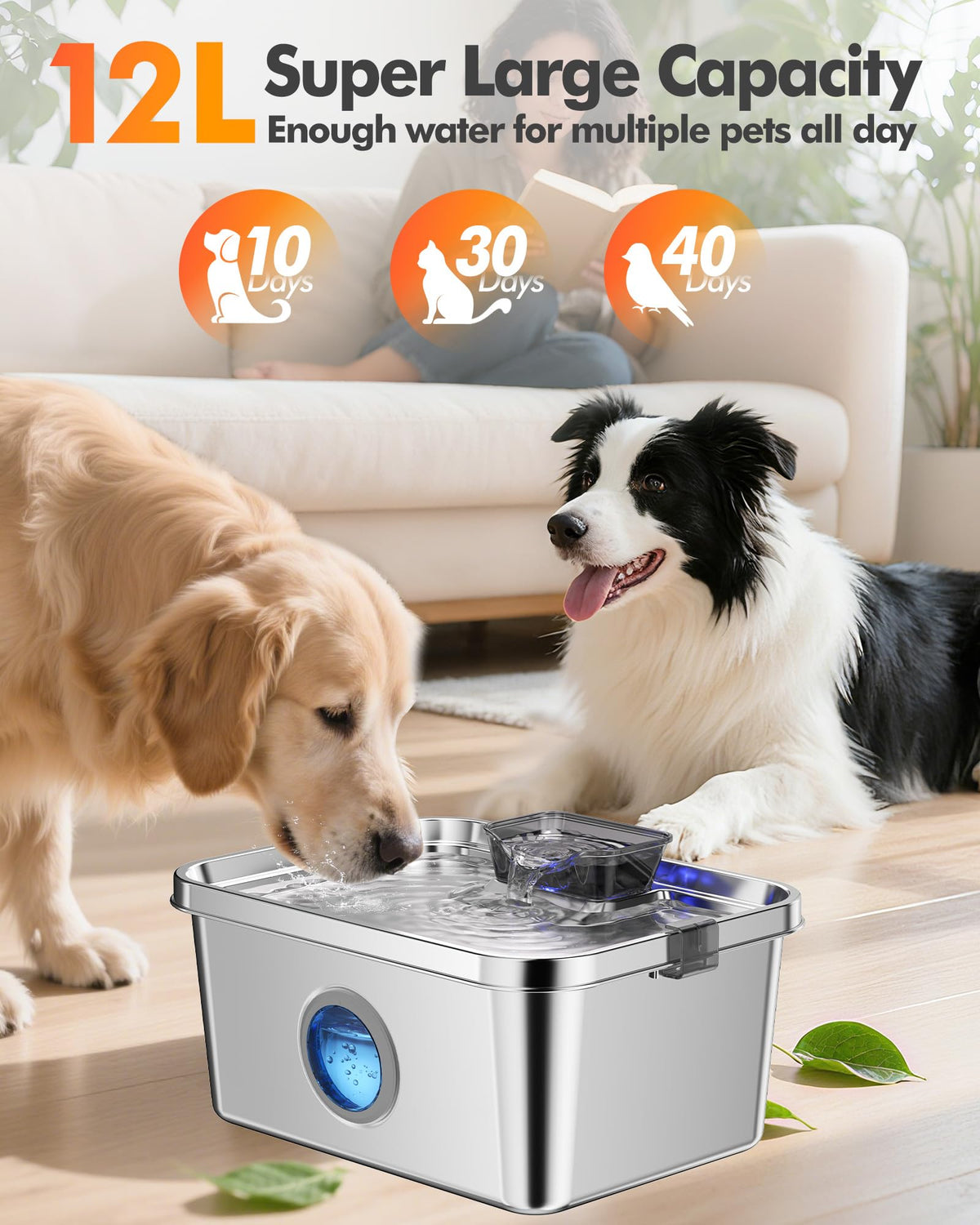 12L Dog Water Fountain