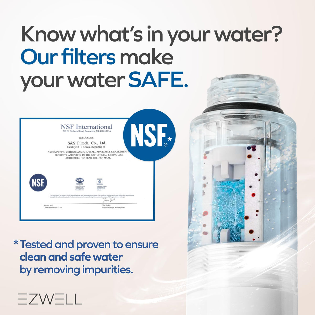 Visible Filtered Shower Head LITE Sediment Filter with High Pressure NSF Certified Korea (Lite - 1 Set)