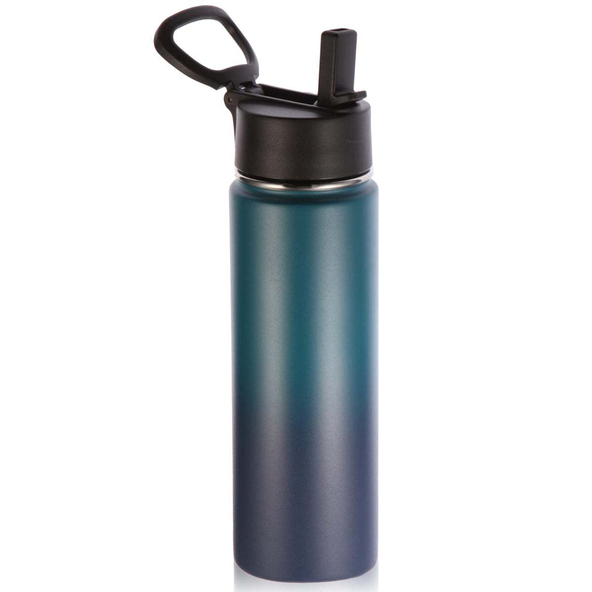 22oz Insulated Water Bottle with Straw Lid (Dark Night)