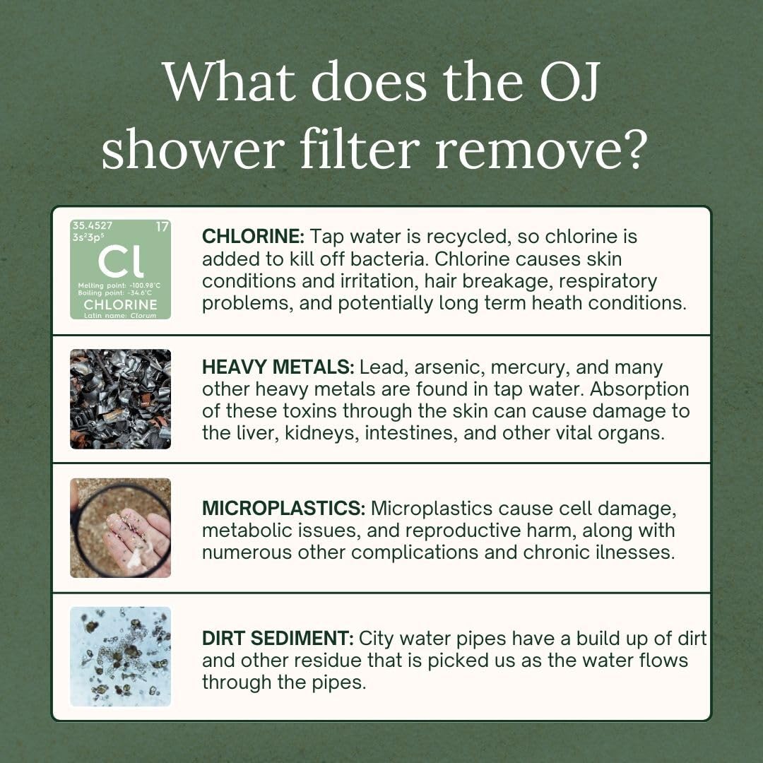 Shower Filter (Chrome)