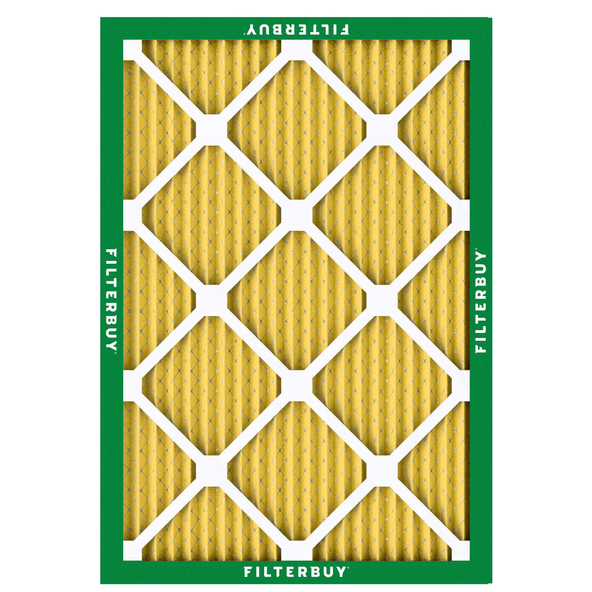 16.5x22x1 Air Filter MERV 11 Pet & Allergy Defense (16.5x22x1)
