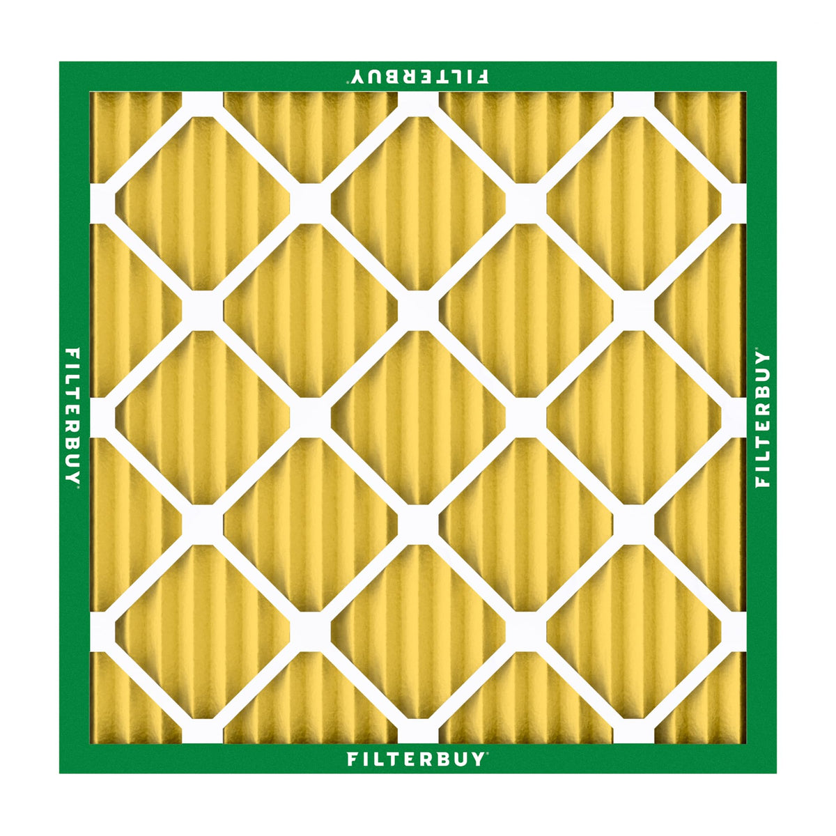21.25x21.25x1 Air Filter MERV 11 Pet & Allergy Defense (21.25x21.25x1)