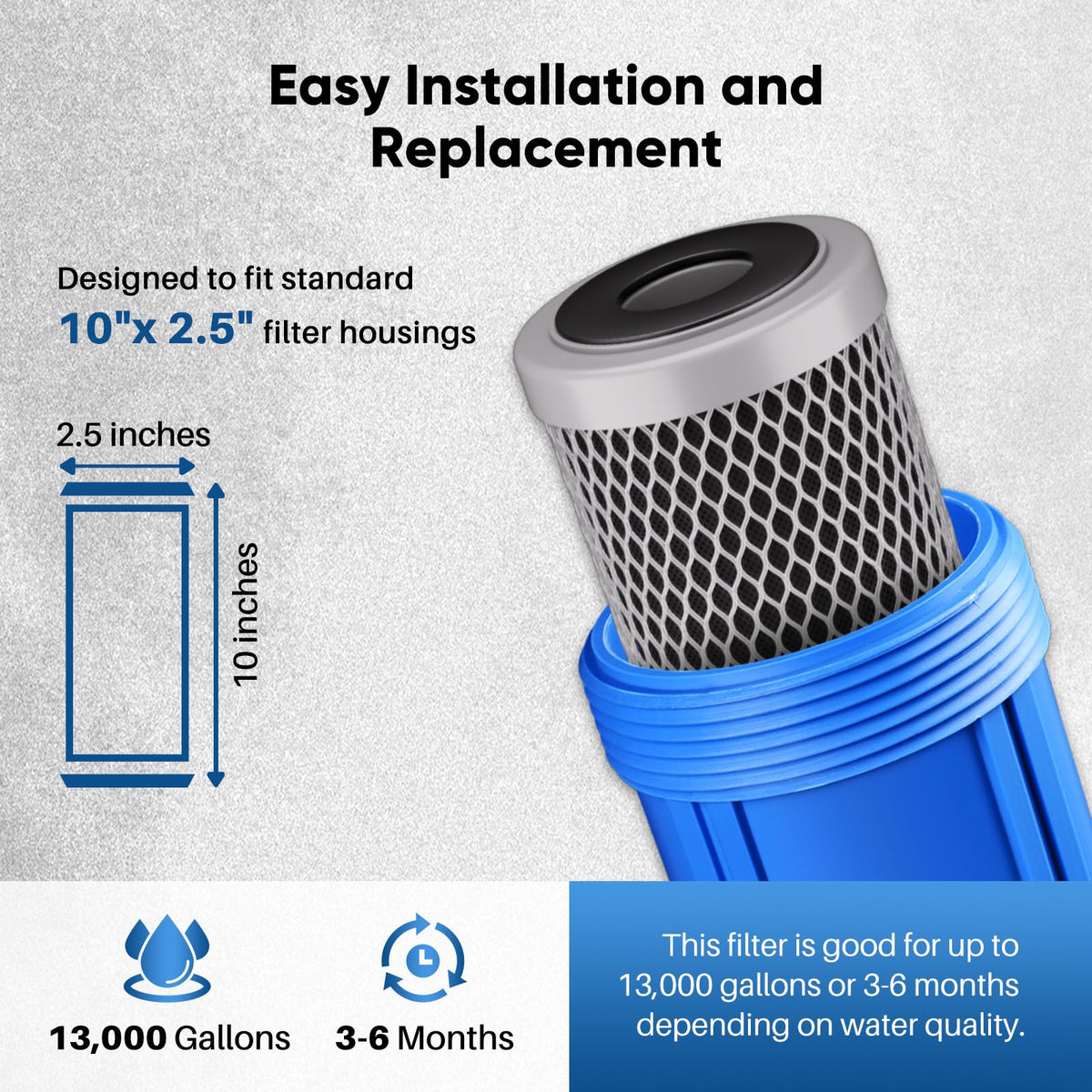 1 Micron 2.5" x 10" Whole House Lead Removal Water Filter (2 Count (Pack of 1))