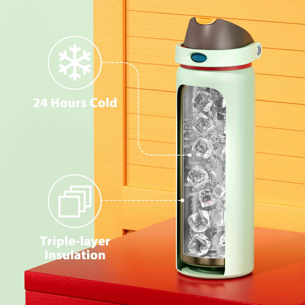 32 oz Insulated Stainless Steel Water Bottle with Straw for Gym (Boneyard / 32 Ounces)