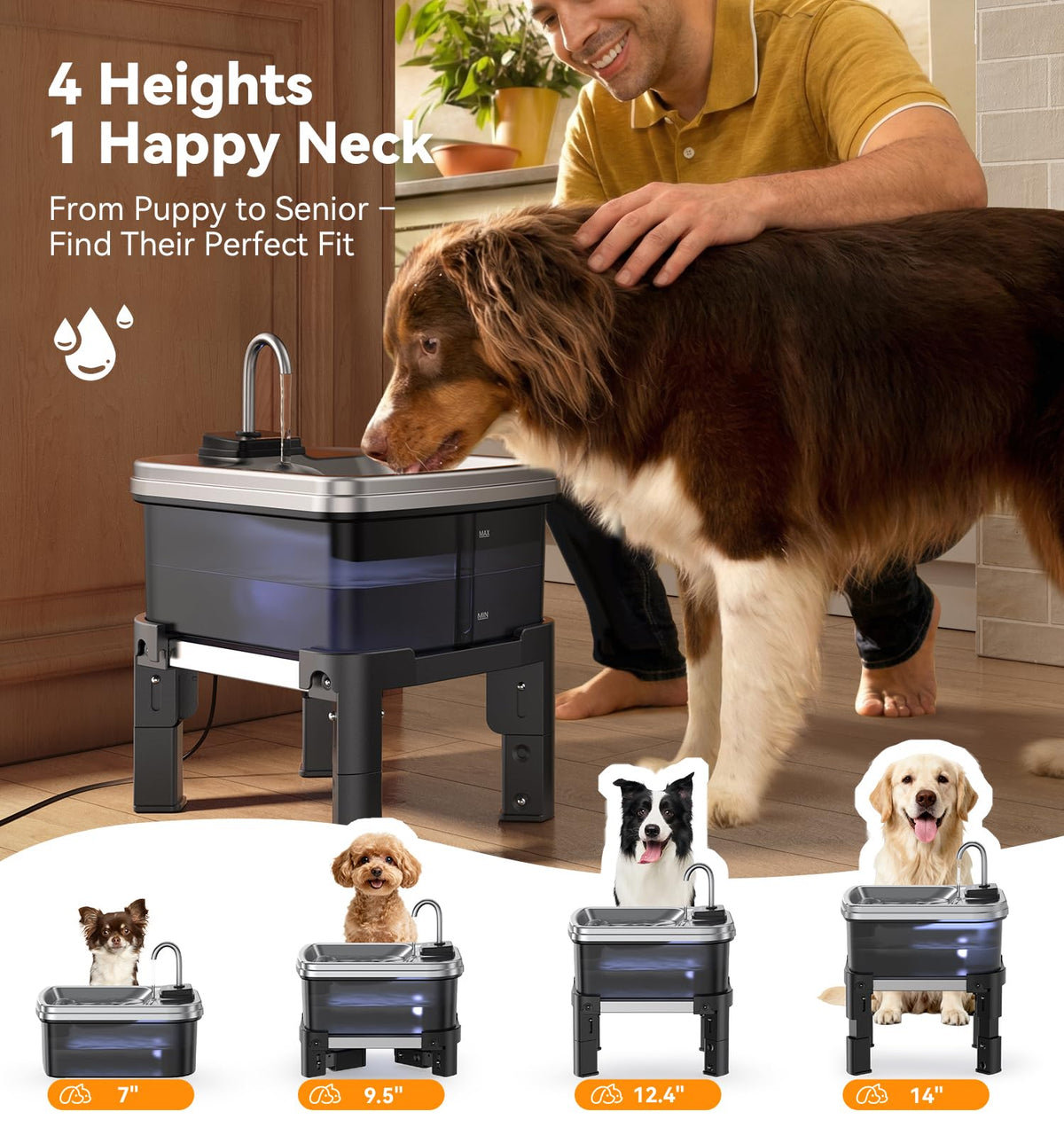 9L 2.38Gal Dog Water Fountain Elevated with 4 (Water Fountain + 3 Filters + 3 Sponges)