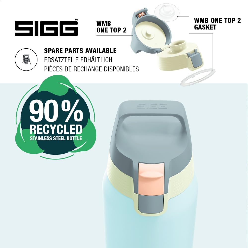 Insulated Water Bottle (Multicolor 0.75 L / Breeze)