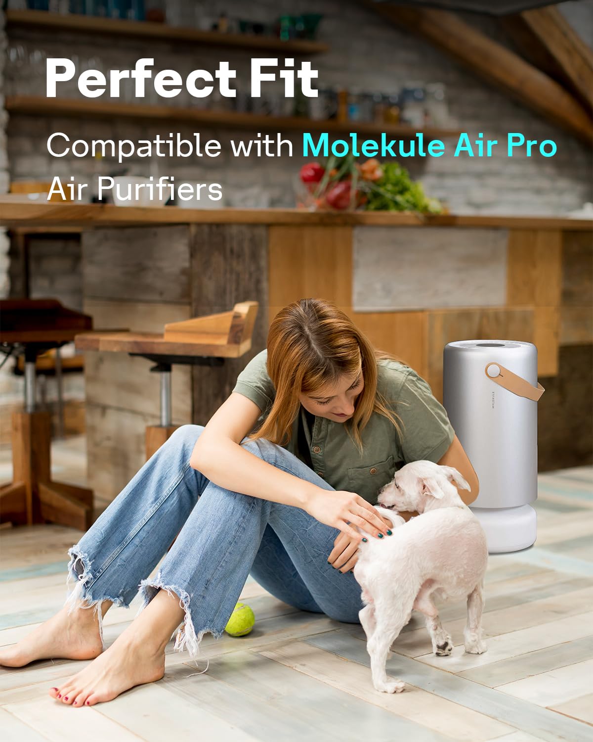 PECO HEPA Tri (air pro 2-pack)