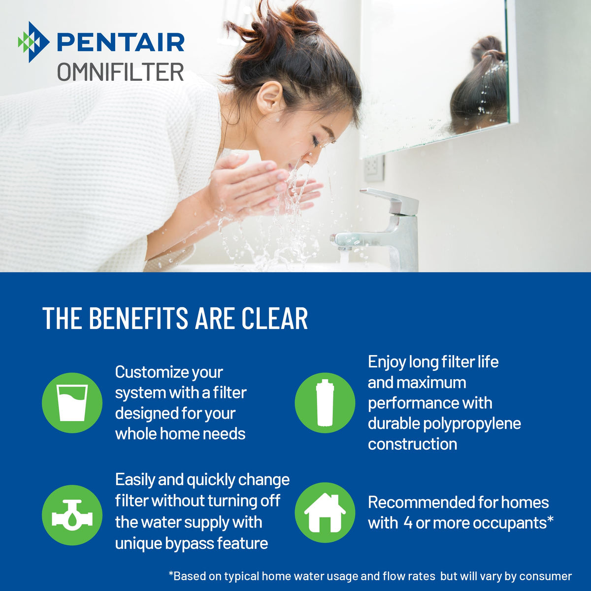 Pentair OMNIFilter Whole Home 20 (20" Heavy-Duty)