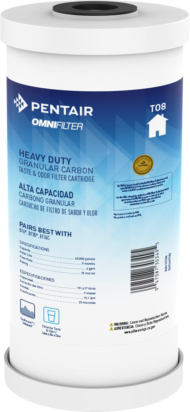 Pentair OMNIFilter TO8 Carbon Water Filter (1 Count (Pack of 1) / 10 Inch x 4.5 Inch)