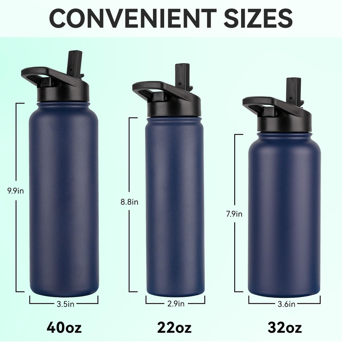 Insulated Water Bottle (Navy Blue / 22 Ounces)