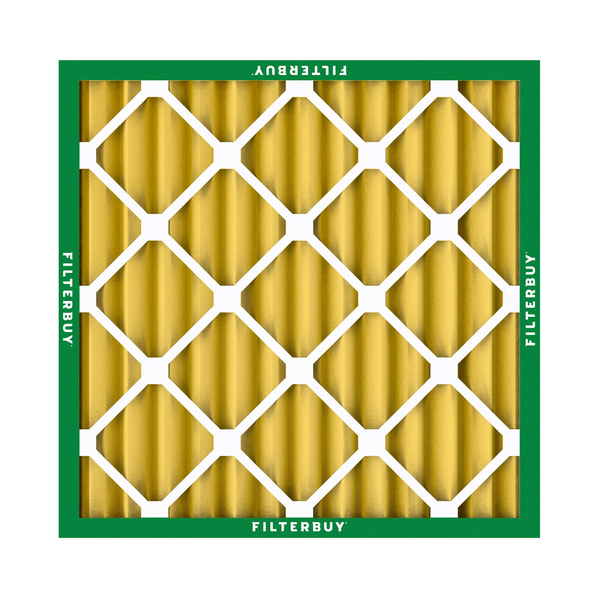 17.25x17.25x2 Air Filter MERV 11 Pet & Allergy Defense (17.25x17.25x2)
