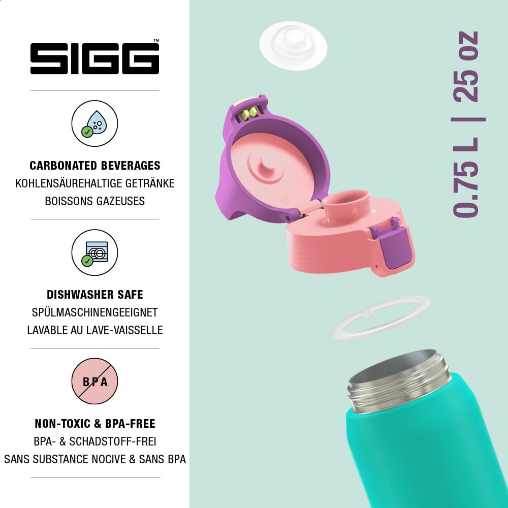 Insulated Water Bottle (Multicolor 0.75 L / Reef)