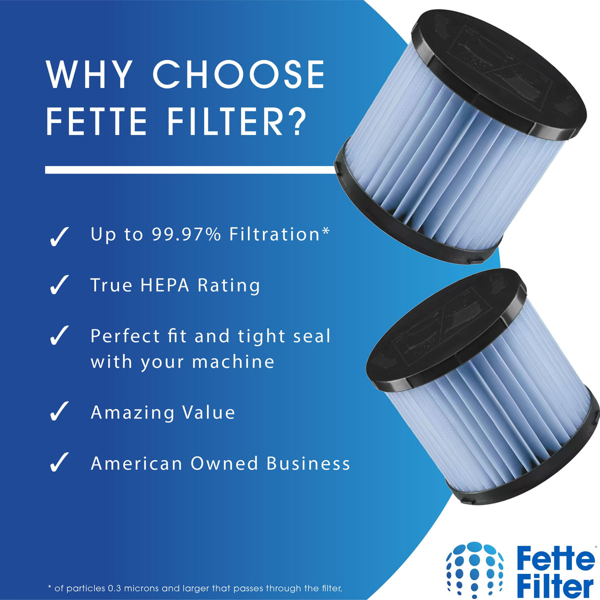 Fette Filter A32RF08 Fine Dust Replacement Filter Compatible With RYOBI 18V ONE+ P3240 (Pack of 2)
